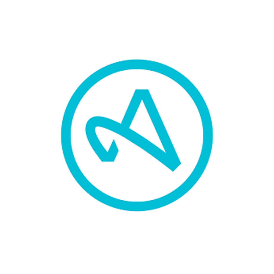 Partner Alpha Logo
